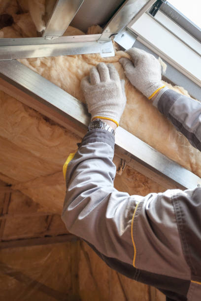 Best Insulation Removal  in USA